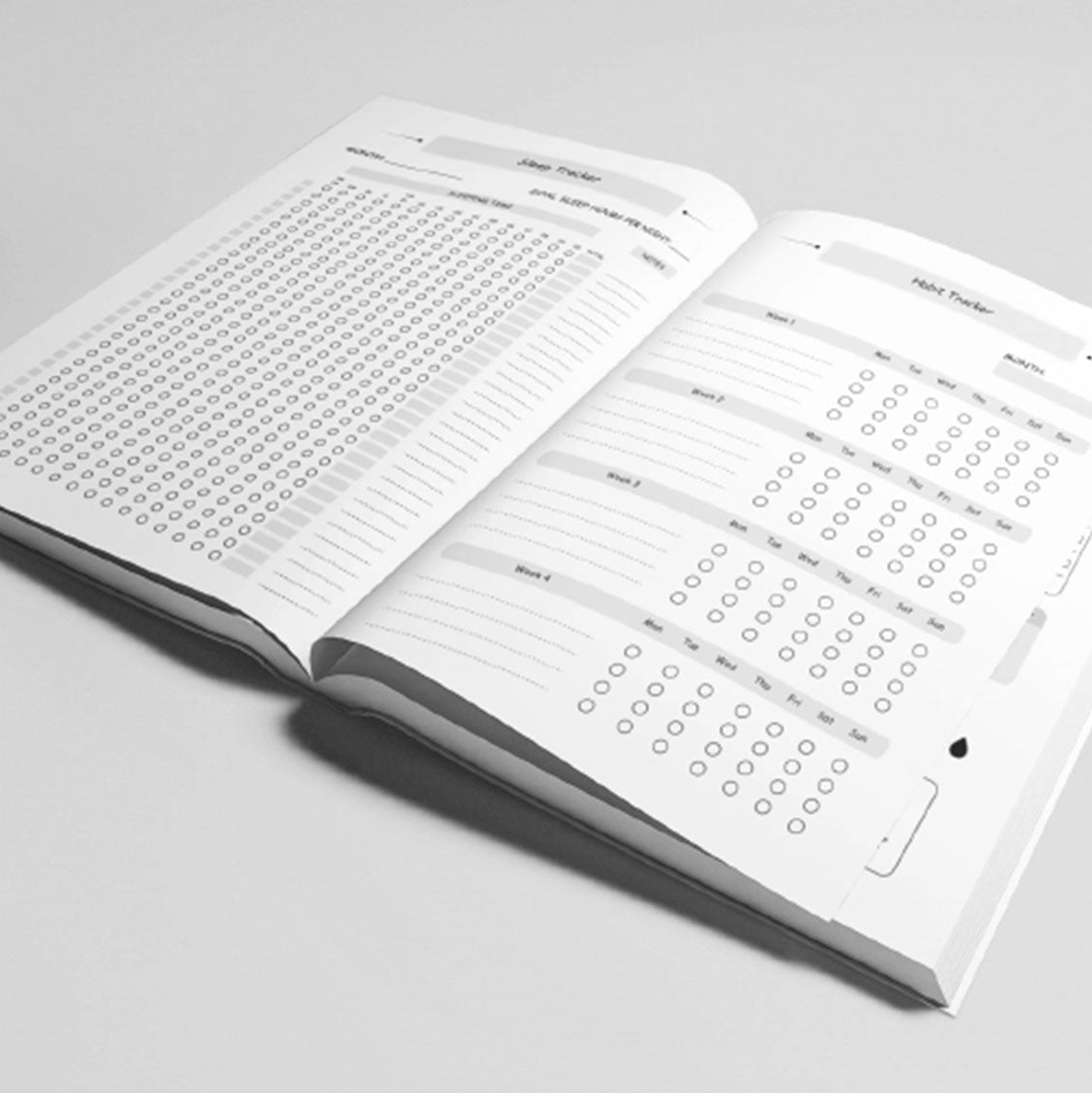 Dreams To Reality Daily Planner